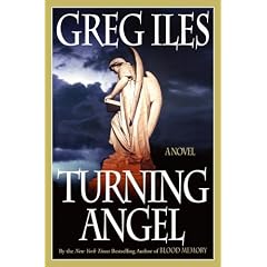 Turning Angel: A Novel