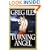 Turning Angel : A Novel