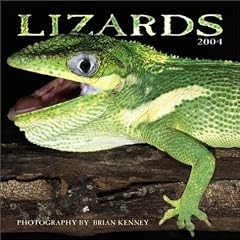 Lizards Wall Calendar: 2004