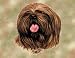 Lhasa Apso Woven Lap Square (Throw Blanket)