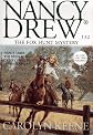 The Fox Hunt Mystery