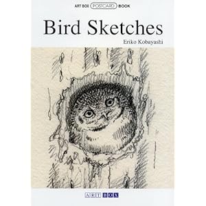 Bird Sketches (ART BOX POSTCARD BOOK)  