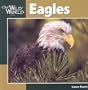 Eagles (Our Wild World)