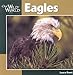 Eagles (Our Wild World)