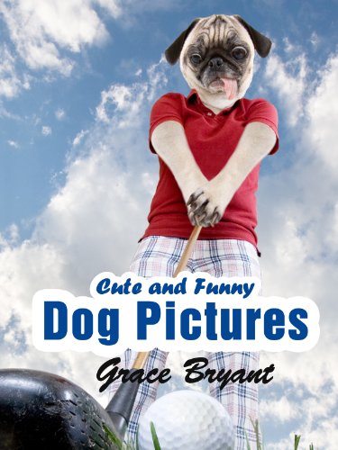 Funny Dog Pictures - The Most Cute and Hilarious Dog Pictures with Captions