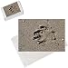 Photo Jigsaw Puzzle of Dog pawprints in sand on beach, Salcombe, Devon, United Kingdom from Silverport Pictures