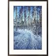 Sweden, Torso, Lake Vanern, Trail Framed Art Poster Print by James Denk, 21x29
