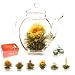 Erbl�h-Tee von Creano Geschenk-Set