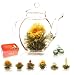 Erblüh-Tee von Creano Geschenk-Set