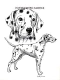 Dalmatian - Double Image by Cindy Farmer