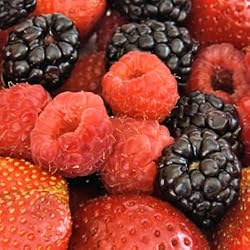 berry blend flavor powder