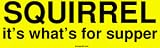 SQUIRREL it's what's for supper Large Bumper Sticker