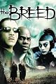 play video on Amazon Instant Video