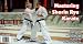 Mastering Shorin Ryu Karate