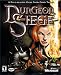 Dungeon Siege (PC)
