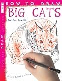 How to Draw Big Cats (You Can Draw Anything)