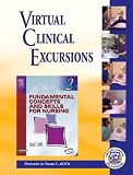 Fundamental Concepts & Skills For Nursing: Virtual Clinical Excursions - Medical-Surgical for DeWit
