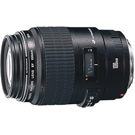 Canon EF�����Y EF100mm F2.8 �}�N�� USM �}�N�������Y