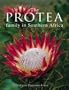 The Protea Family in Southern Africa