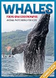 Whale Facts and Cool Pictures. Animal Photo Books for Kids.