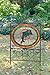 Miami Dolphins Glass Yard Sign