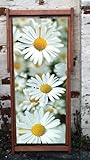 Daises Designer Deckchair