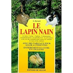 Le lapin nain
