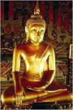 Buddha (Gold, Seated) Art Poster Print - 24 X 36