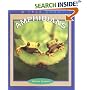 Amphibians (True Books : Animals)