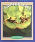Amphibians (True Books : Animals)