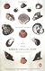 The Shell Collector: Stories