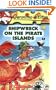 Shipwreck on the Pirate Islands (Geronimo Stilton, No. 18)