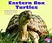Eastern Box Turtles (Pebble Plus: Reptiles) Eastern Box Turtles (Pebble Plus: Reptiles)