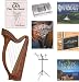 38" Beginners Wexford Harp Package, Complete Celtic Package