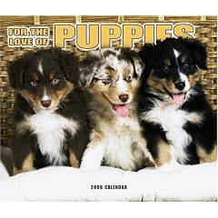 For The Love Of Puppies Deluxe 2006 Calendar