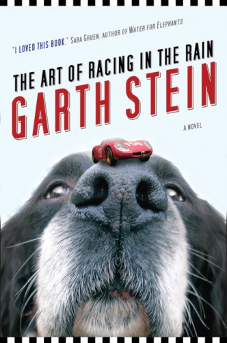 Stein