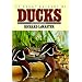 More Than Mallards