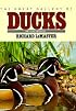 The Great Gallery of Ducks and Other Waterfowl