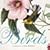 The Little Big Book of Birds