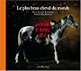Le plus beau cheval du monde