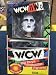 WCW/NWO Big Boys Collectible Figures Sting by Key Enterprises Inc. 1998_s-1