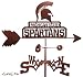 Hand Made MICHIGAN STATE SPARTANS FLAT POST Mount Weathervane ~NEW~