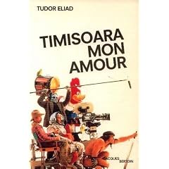 Timisoara mon amour