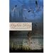 Bag of Bones (King Classics)