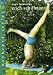 Yoga Inversions: Erich Schiffmann's Backyard Series