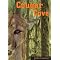 (2) My Favourite Animal Books for Children