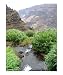 Waipoo Falls and Waimea Canyon Kauai Hawaii Places Photographic Poster Print by Miska Slock, 20x24