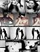 Books : Video Acts