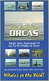 Review   / Dance ot the Orcas