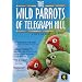 Playful Parrots